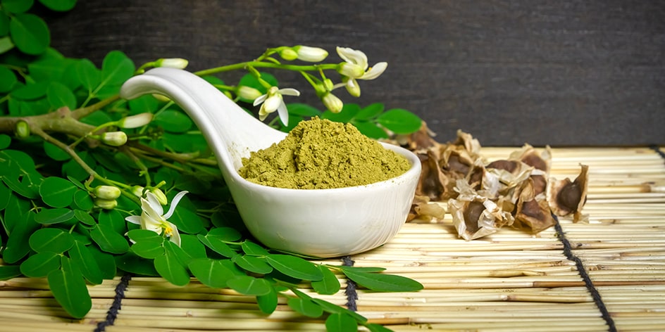 Moringa Oleifera