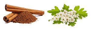 Cannelle et aubépine