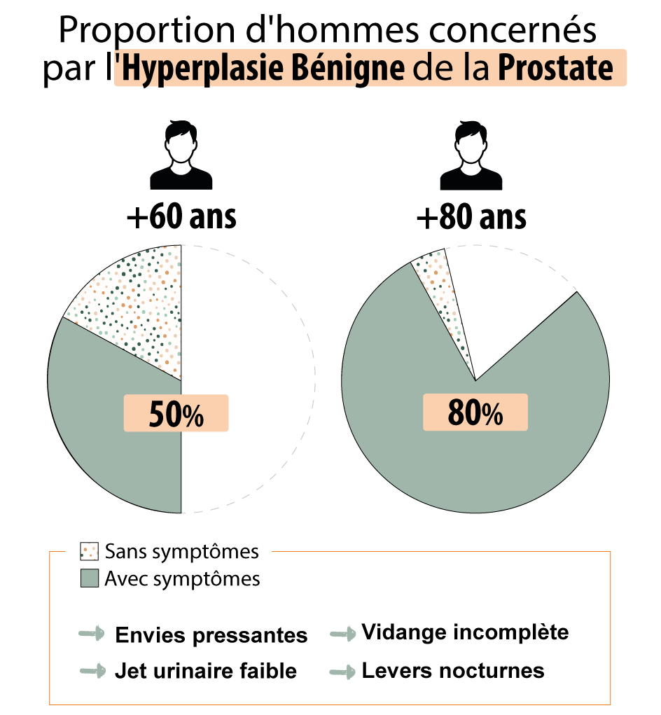 Graphe prostate