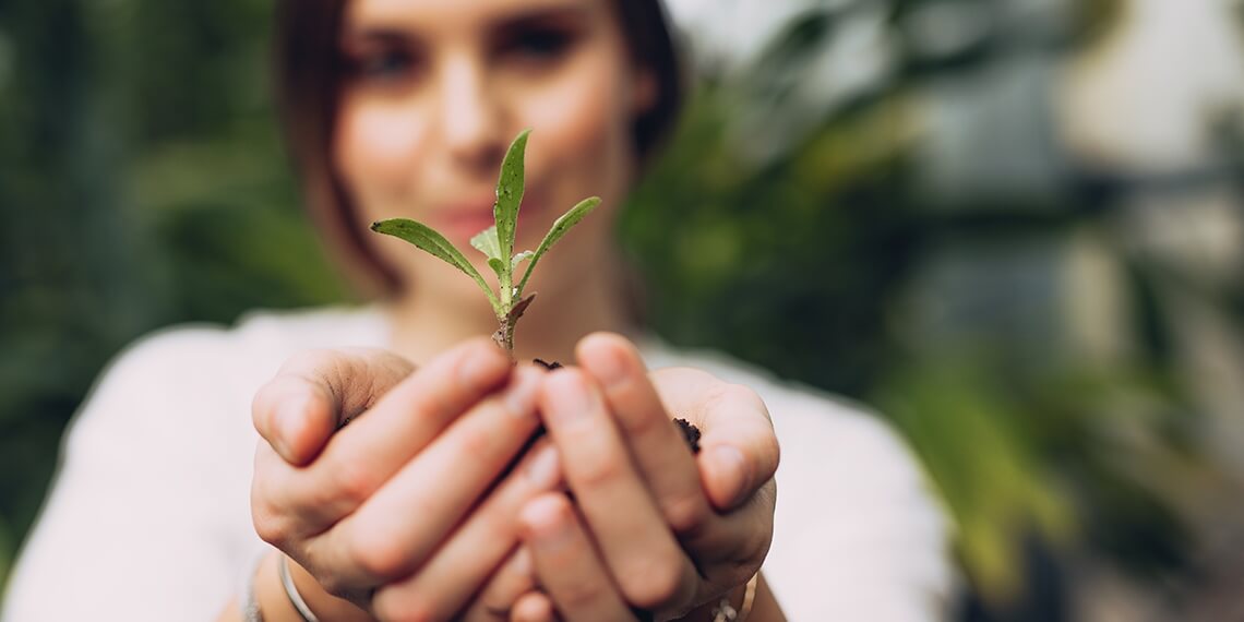 Les plantes de puissantes alliées pour notre santé - Laboratoire-Naturoscience.fr