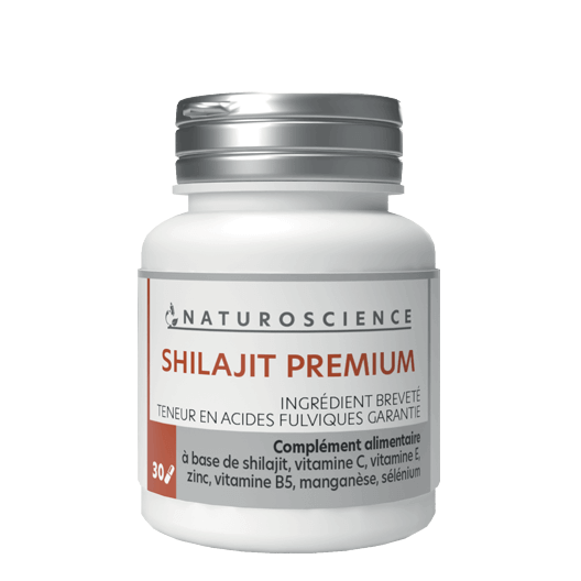 Shilajit Premium