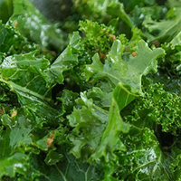 cho kale - Laboratoire-Naturoscience.fr
