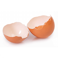 coquille d’œuf - Laboratoire-Naturoscience.fr