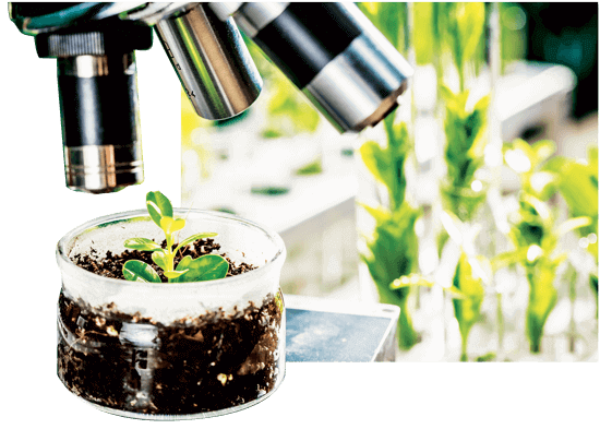 réassurance laboratoires natural 2 - Laboratoire Naturoscience
