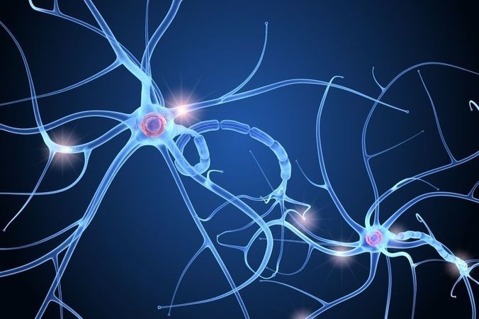 blog liaison neuronal - Laboratoire Naturoscience