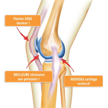 Osteo EZ - Prenez soin de vos articulations