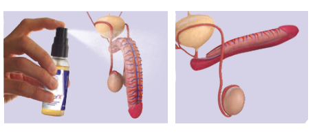 Spray pour pénis - Laboratoire Naturoscience