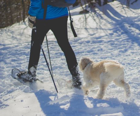 Arthrose en hiver : comment éviter que les douleurs augmentent ?