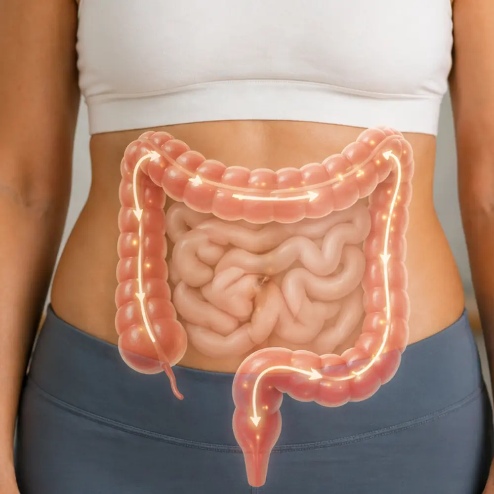 savon-intestinal-image