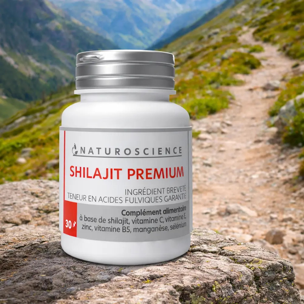 shilajit-premium-image 3